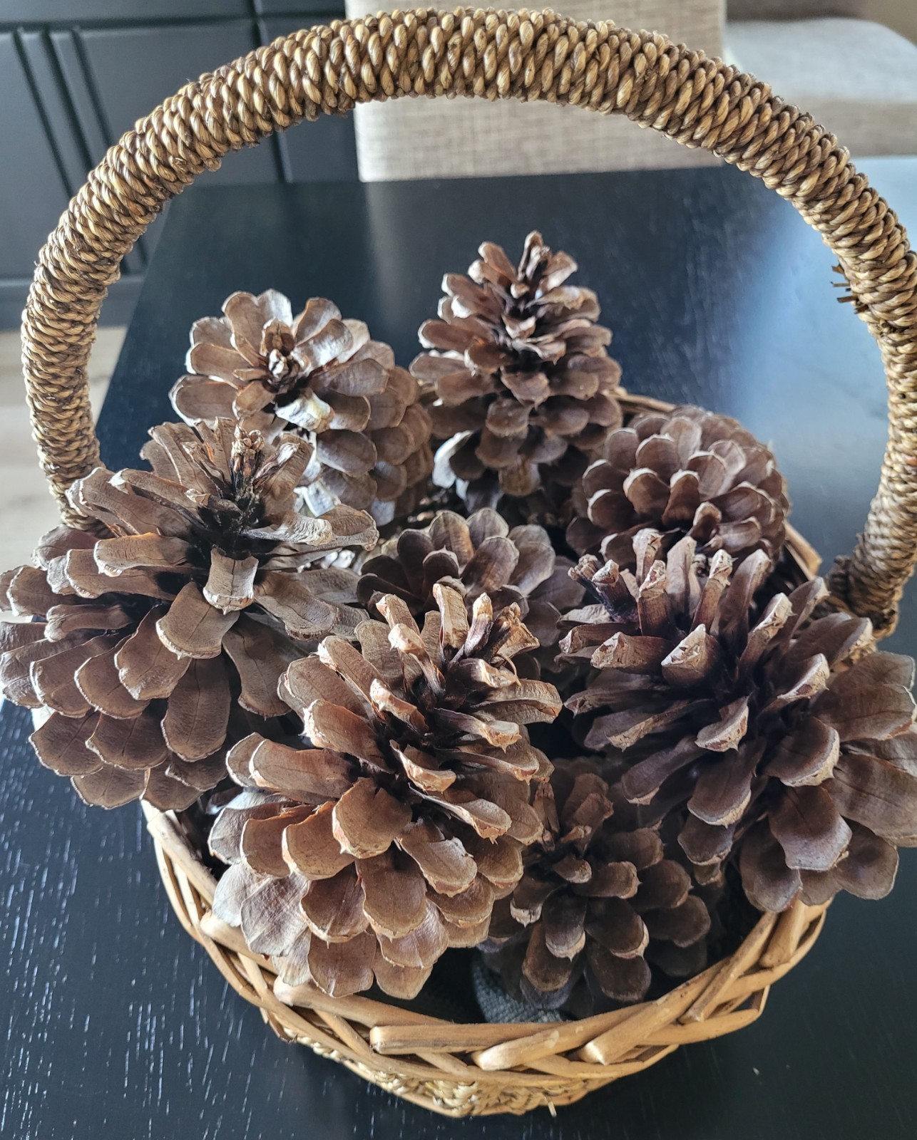 25 Count- Natural Plumas National Forest Pinecones, Decor Mountain Home, Crafts.