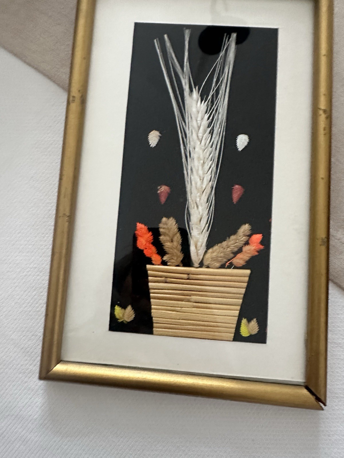 Framed Dried Flower Botanical Art Gold Frame Multiple Plant Parts