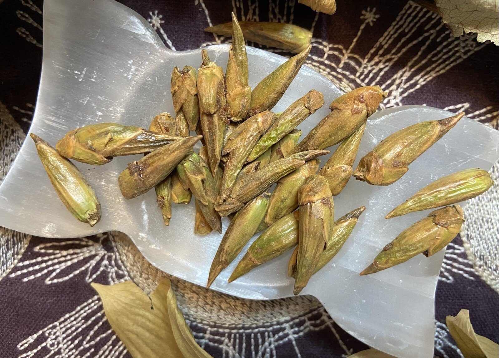 Balm of Gilead Buds, Mend Broken Hearts, Calm Love Issues, Manifestation