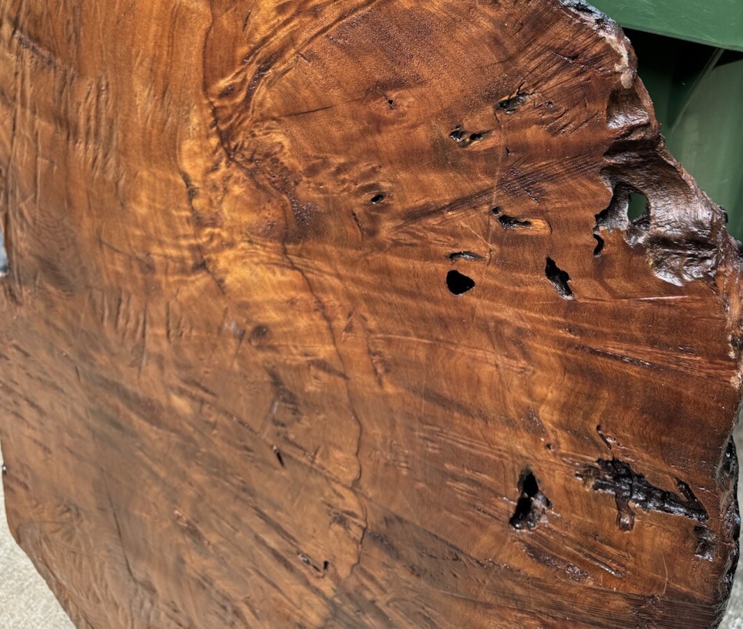 1296 Camphor burl wood turning blank ,hybrid Scale,Dried,52”x 27”x 2 1/4”