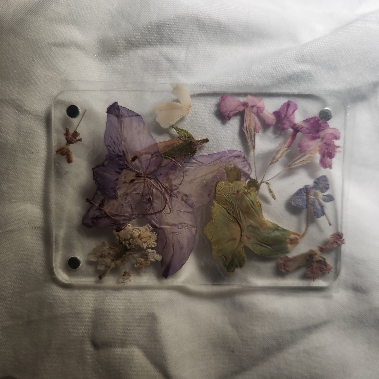 Assorted Pressed Dried Flowers Clear Resin Cards Multiple Plant Parts