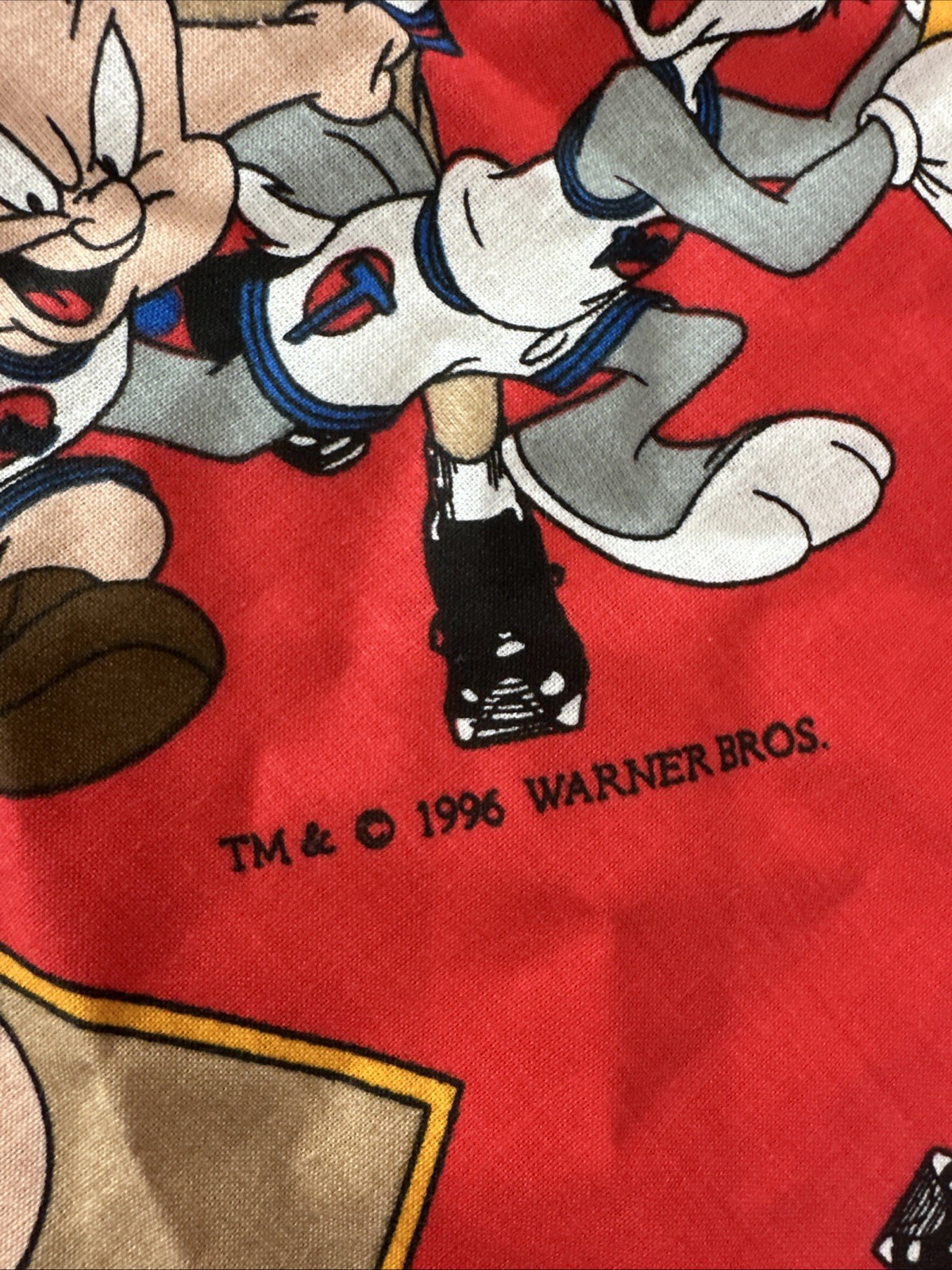 RARE WARNER BROS VINTAGE Space Jam Michael Jordan, & Bugs FABRIC 180” x 44″