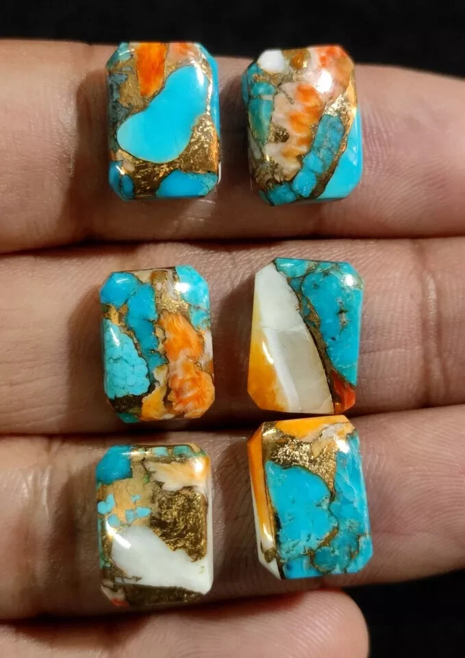 Wholesale Oyster Copper Turquoise Cabochon Octagon shape Loose Gemstone Lot.