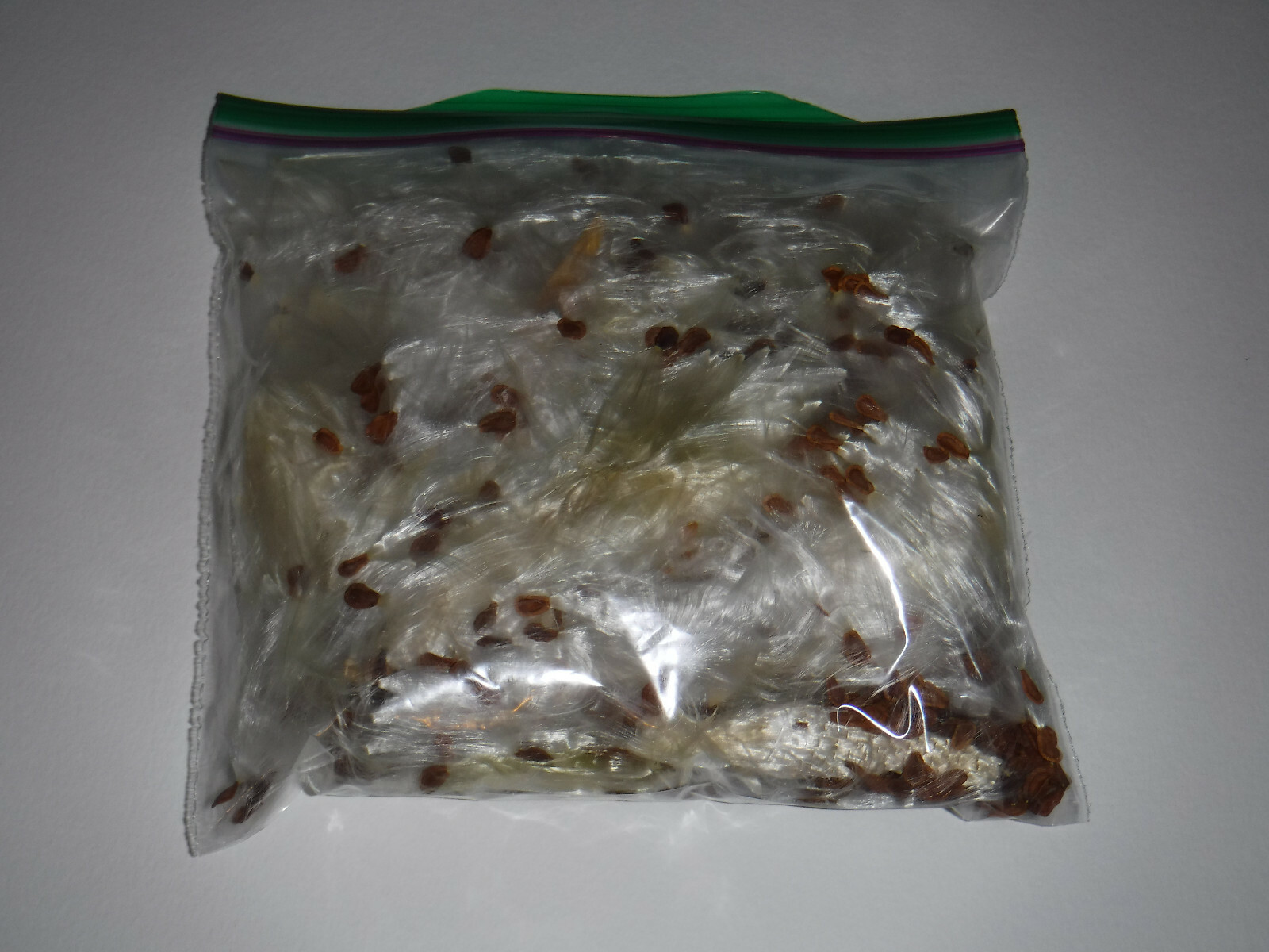1/2+ oz Bag Milkweed Seed Fluff Floss Wind Checker Arts Crafts Fire Starters