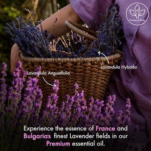 Majestic Pure Essential Oil with 4 Fl Oz (Pack of 1), Clear Or Colorless