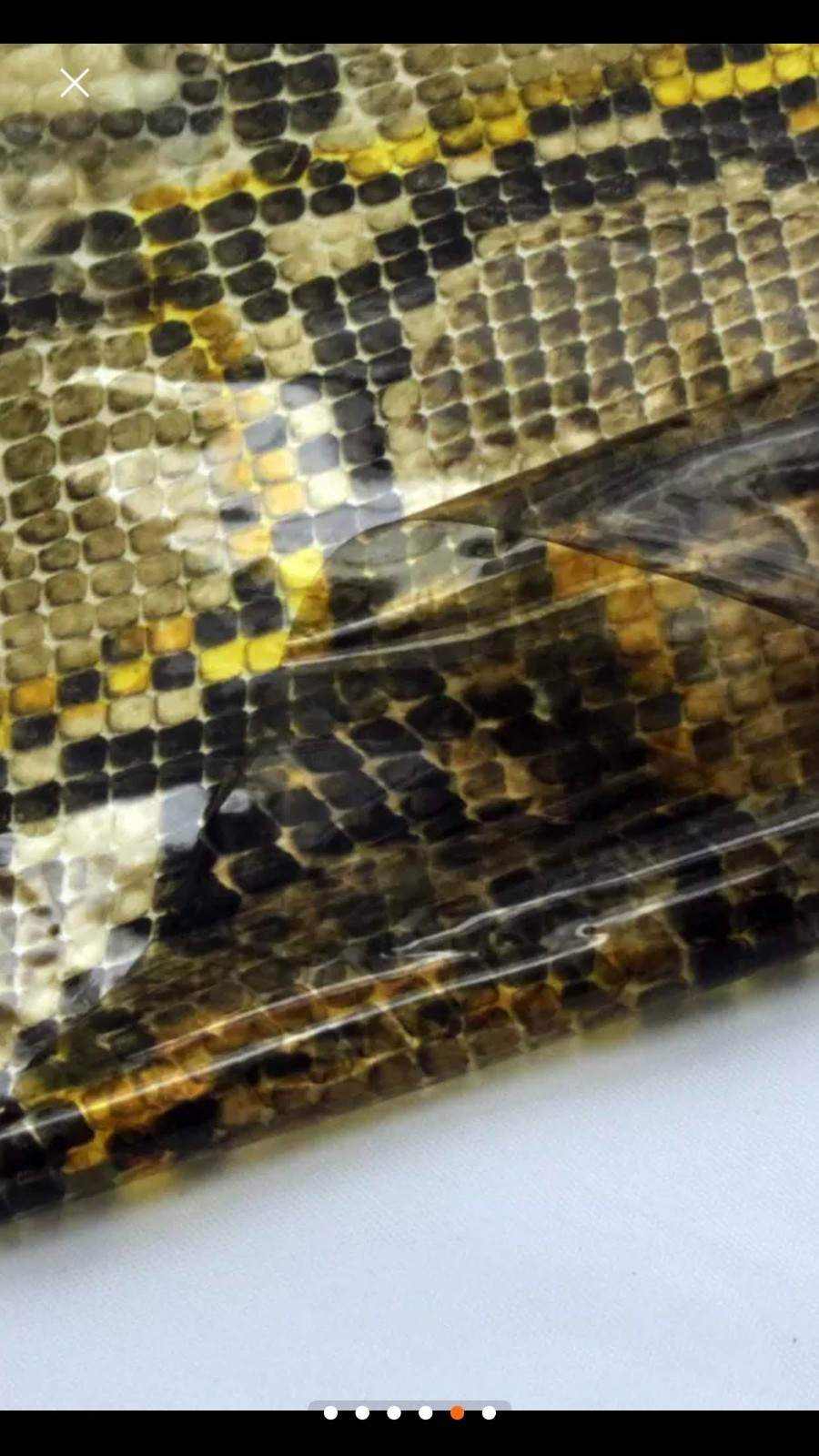 Animal Skin Printed Transparent Vinyl for Multi-Purpose DIY USA Seller
