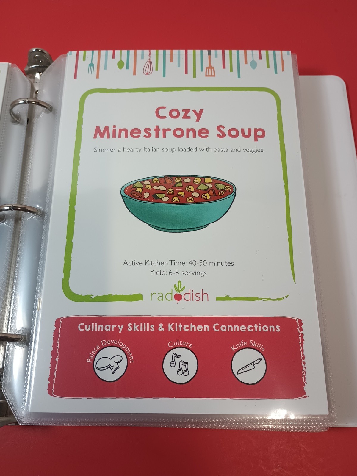 Lot Of 18 RADDISH KIDS Cooking Recipe Cards, INSTRUCTIONS, TRI-FOLD +12 Cards