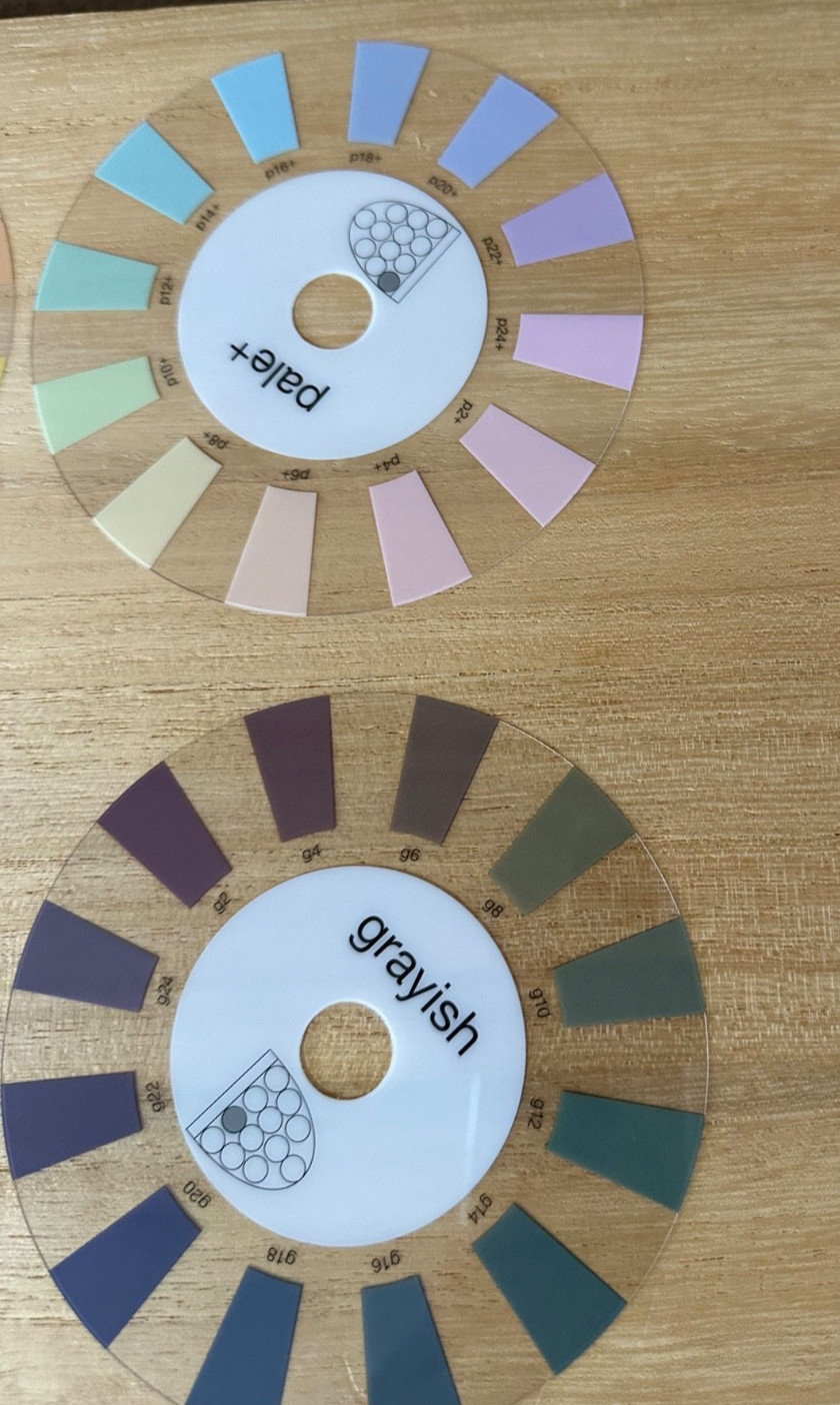 Japanese PCCS Color Tone Circle 11 Transparent Discs 132 Colors with Pouch Japan