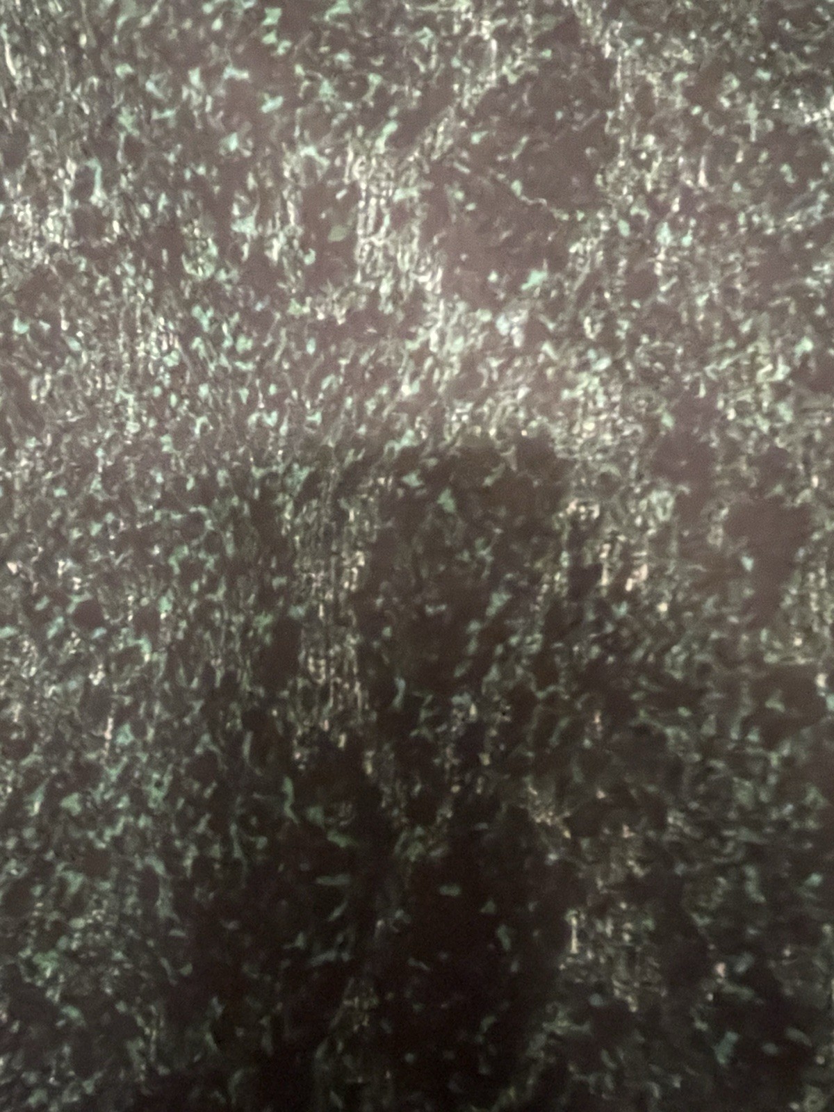 100% Silk Georgette Green Black Abstract Snake Skin Fabric By The Yard 56″ Wide