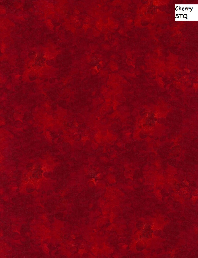 Solid-ish Tone on Tone cotton fabric BTY Timeless Treasures WINE Tonal