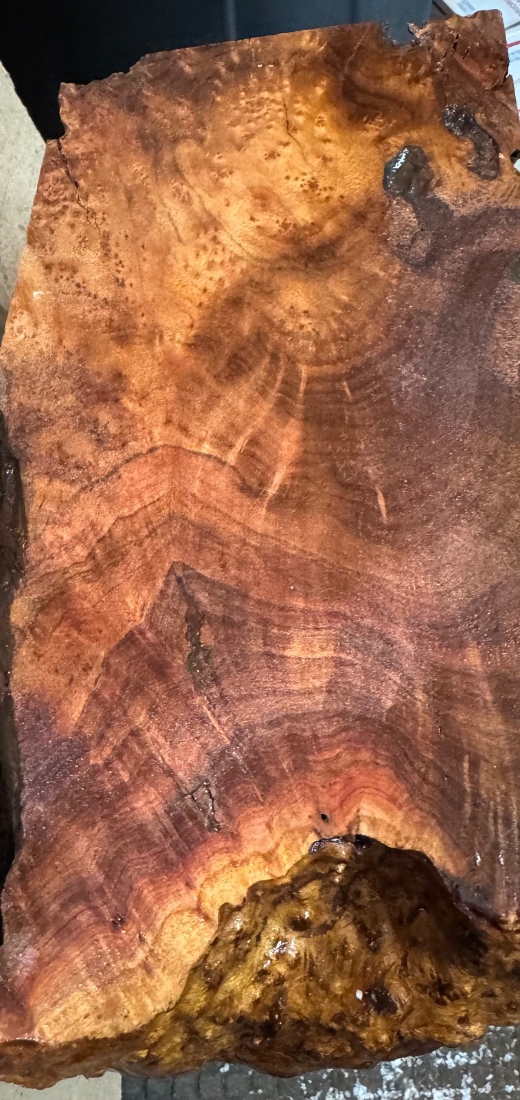 Camphor Burl,turning blank, Bowls,Penblanks,#CAM932