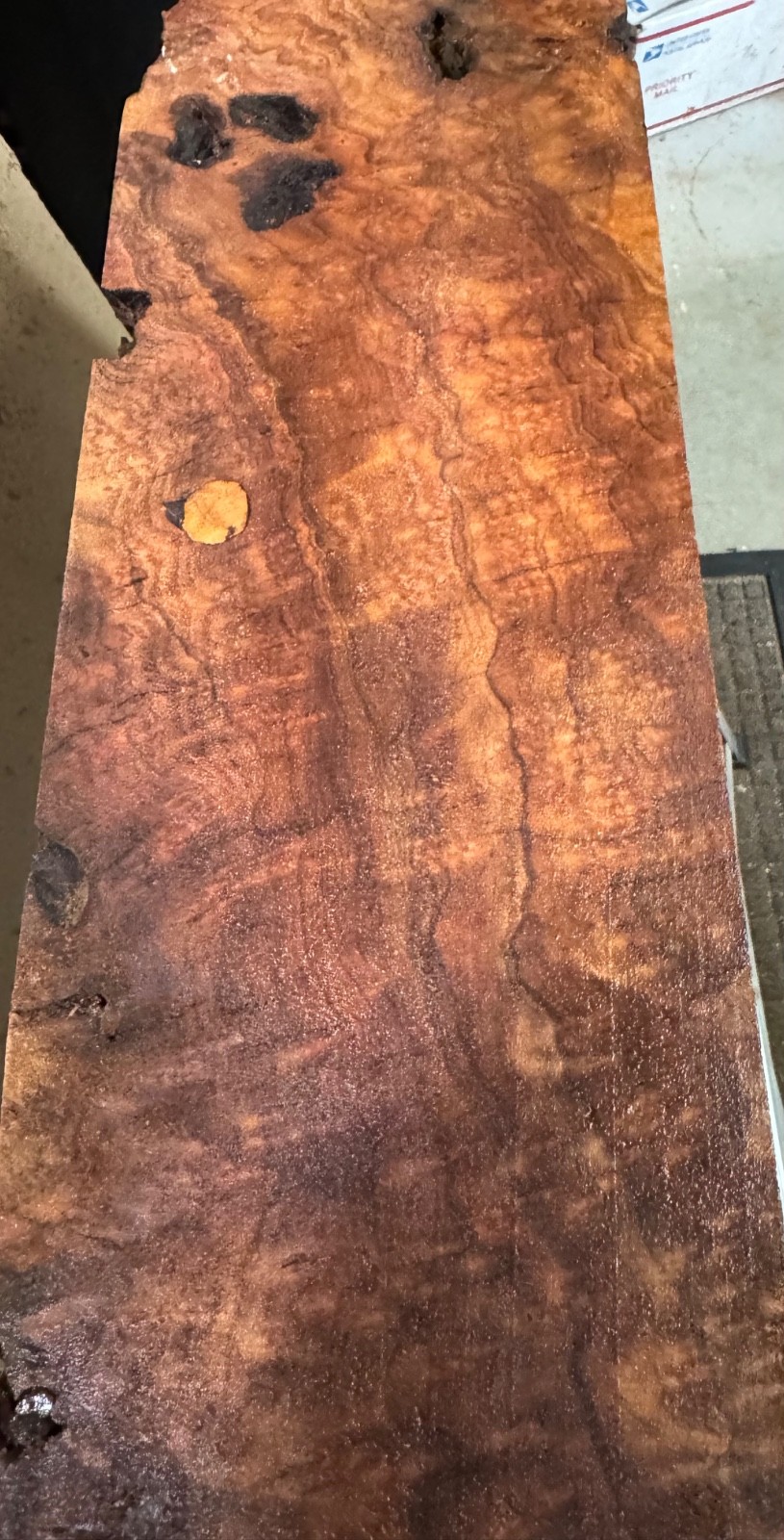 Camphor Burl,turning blank, Bowls,Penblanks,#CAM931