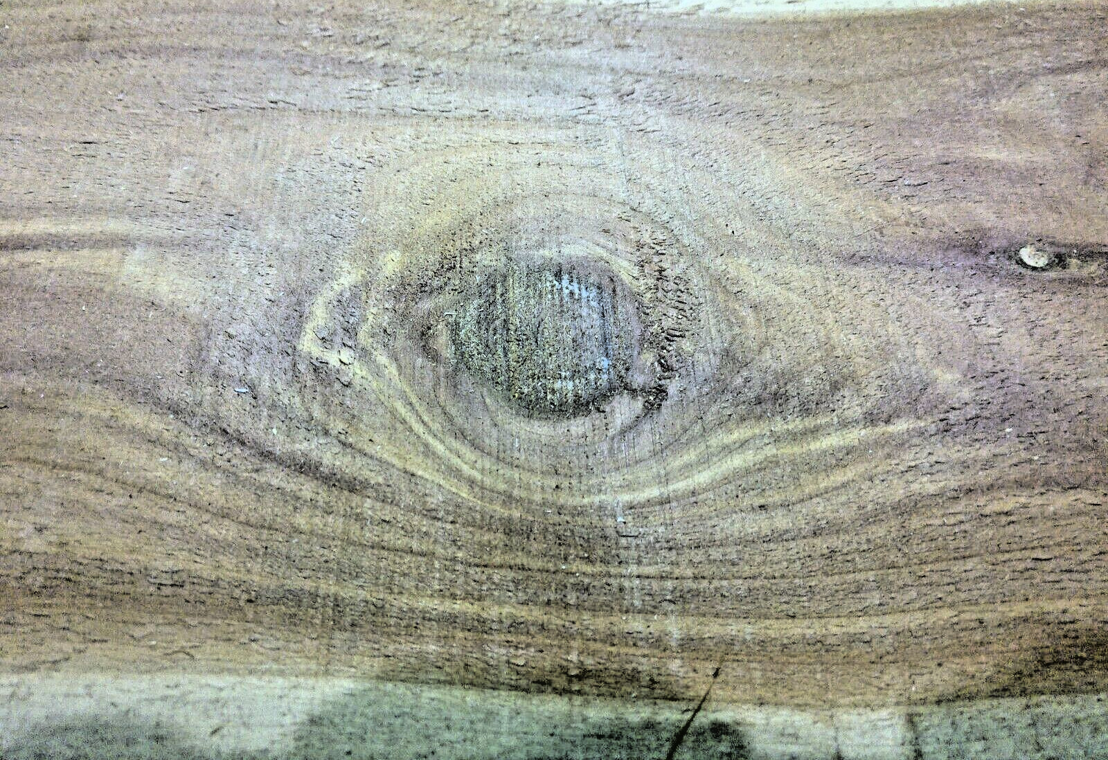 1 AROMATIC RED/WHITE CEDAR 1″ x 6″ x 24″ Lumber Decorative Board MILLED KILN DRY