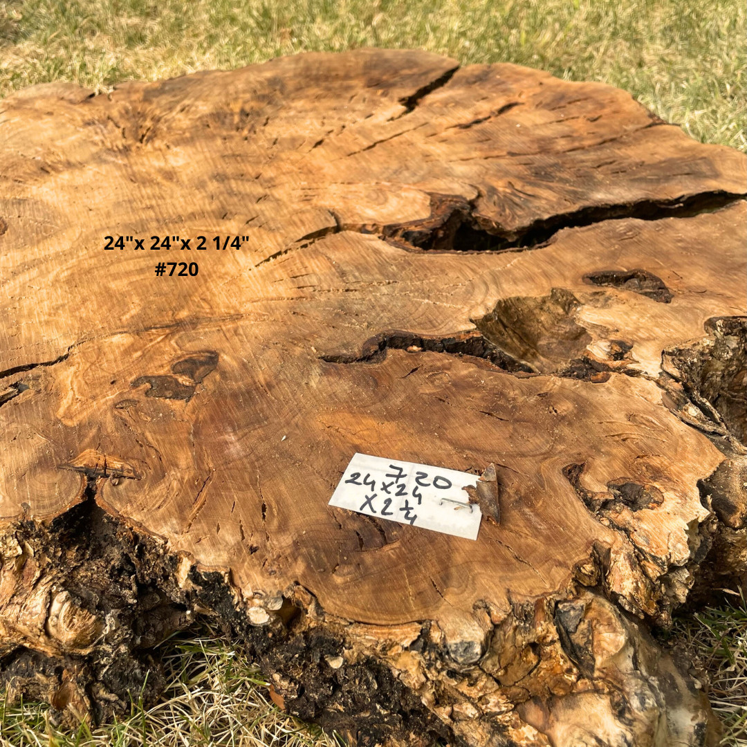 Live Edge Olive Wood Cookies for Woodworking, Crafting, Resin Table