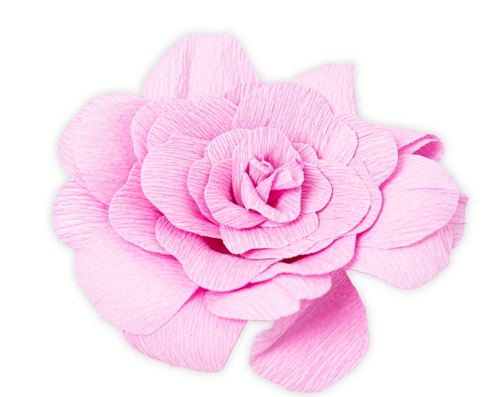 Sizzix Thinlits Gardenia 4pc #665885 Retail $22.99 by Jennifer Ogborn