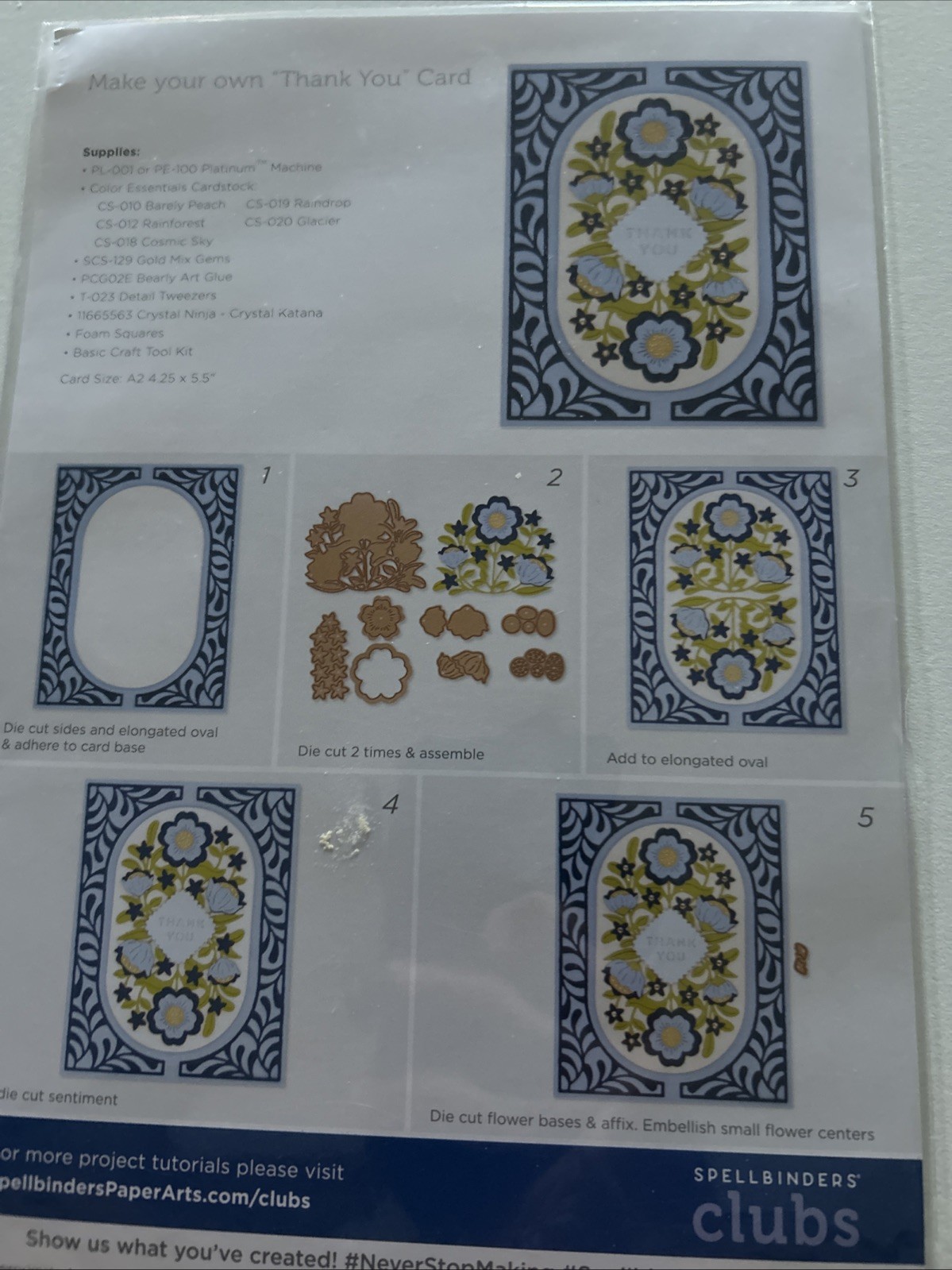 NEW Spellbinders Large Die Of The Month Feb 2023 SPRING REFLECTION