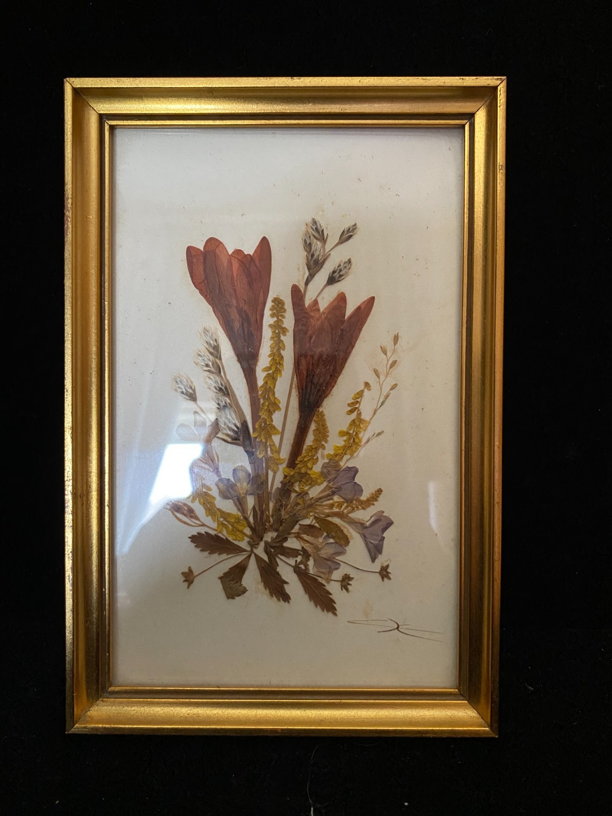 Vintage Dried Pressed Flower Gold Frame Handmade in Austria!