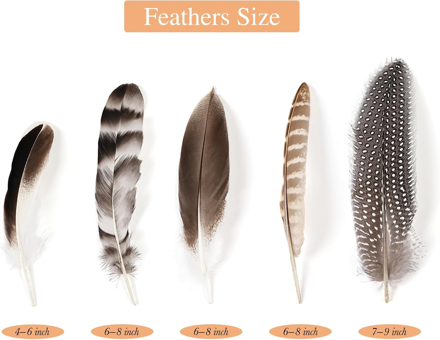 40 Pcs Natural Pheasant Feathers Bulk Spotted Feathers 5 Styles Mixed Feathers