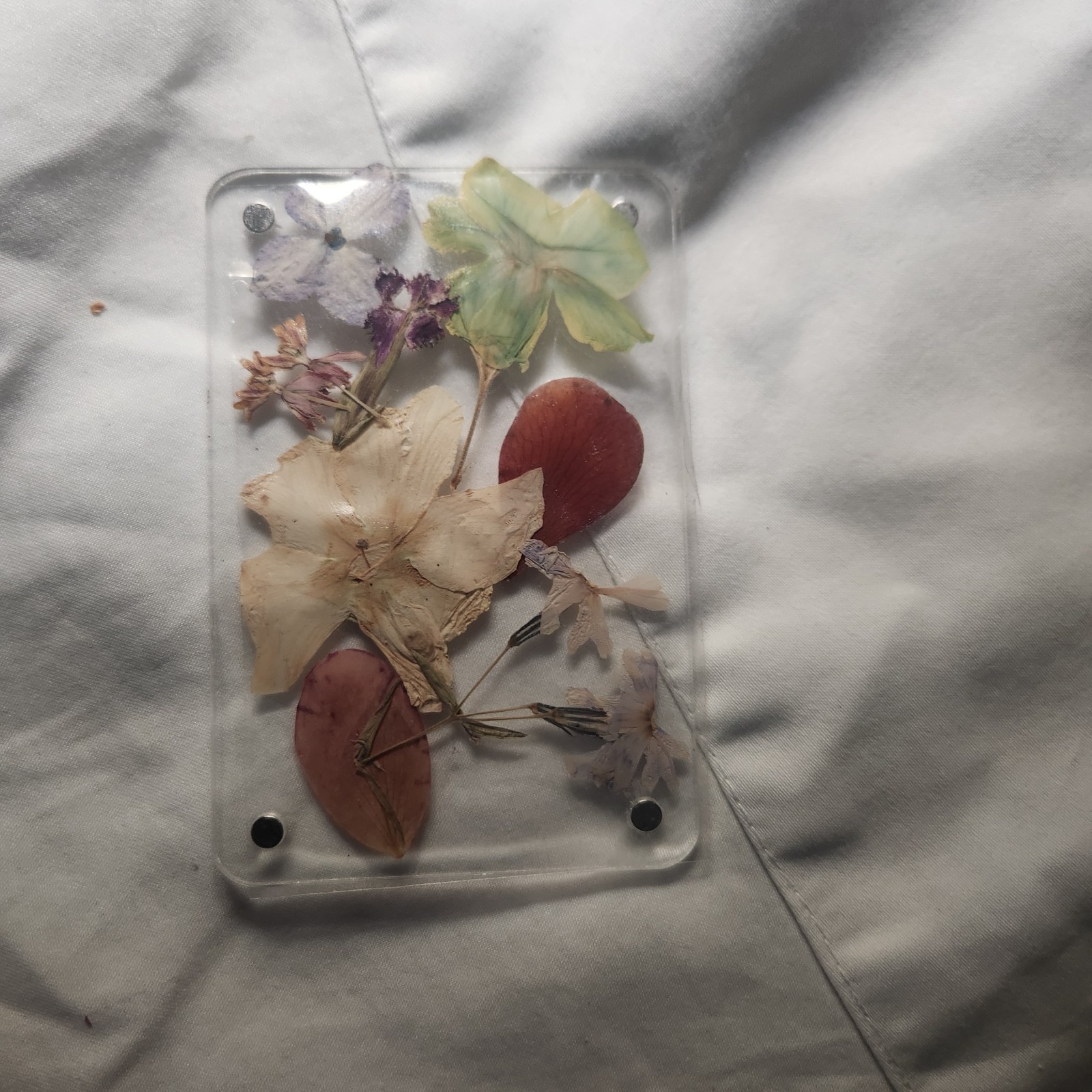 Assorted Pressed Dried Flowers Clear Resin Cards Multiple Plant Parts