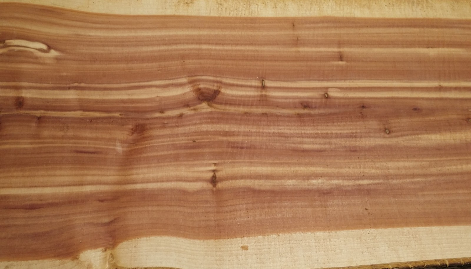 1 LARGE Aromatic Red Cedar Wall Live Edge Slab .75″T x 15-17″W x 49″L SHIPs FREE