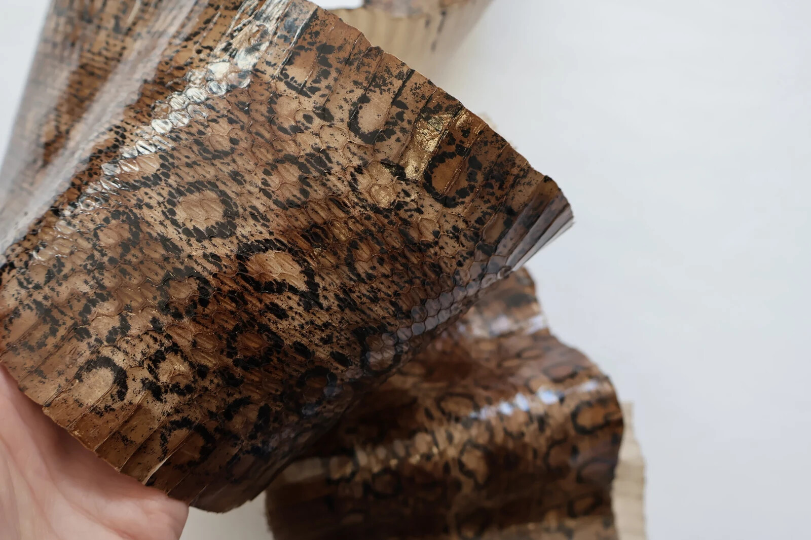 Genuine snake leather Real snakeskin leather for crafts, thin and glossy