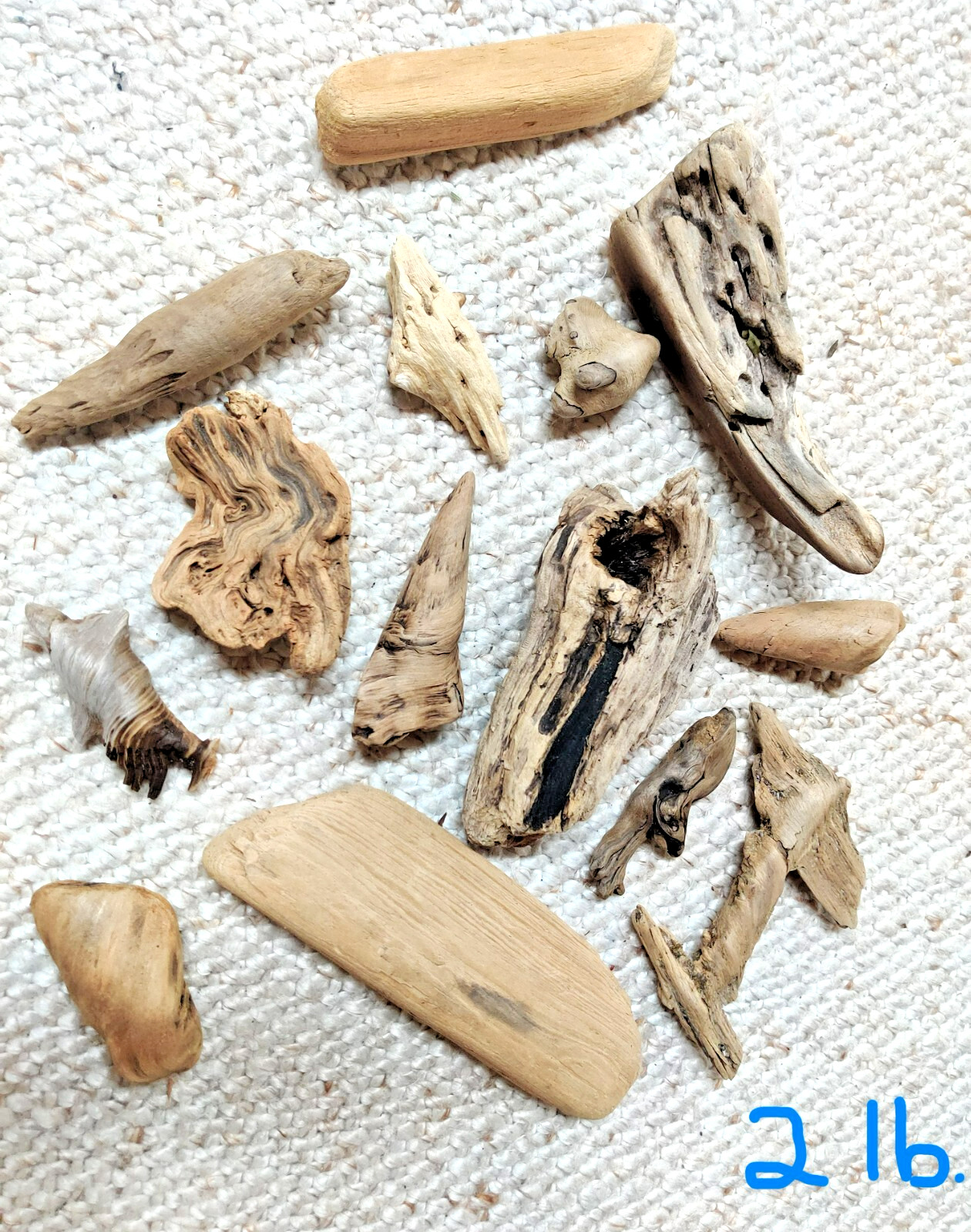 2 lbs. (14+ pcs.) of Beautiful, Unique, Natural Driftwood Gleaned from Lake MI