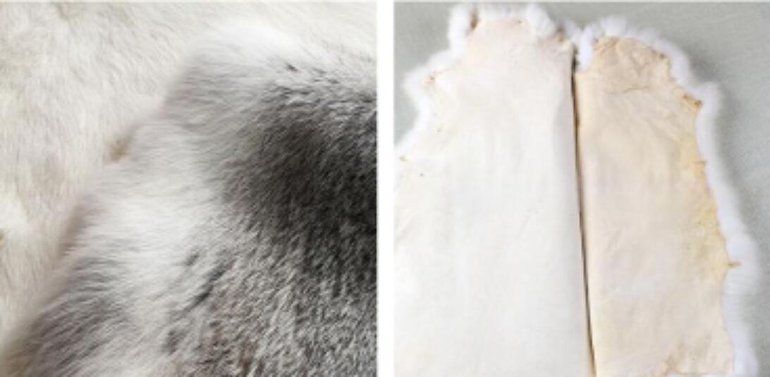 5PCS Real Farm Rabbit Skin Pelts Fur Hides Natural Soft Leather Tanned DIY Craft