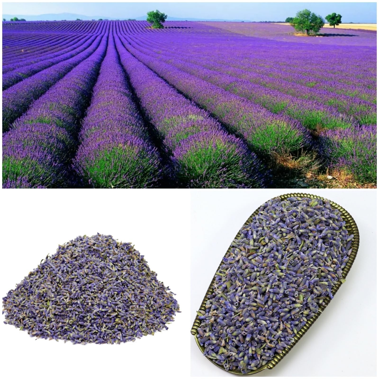 Dried Lavender Flowers 7oz (200g), Aromatic Lavender Buds for Bath Soaks DIY …