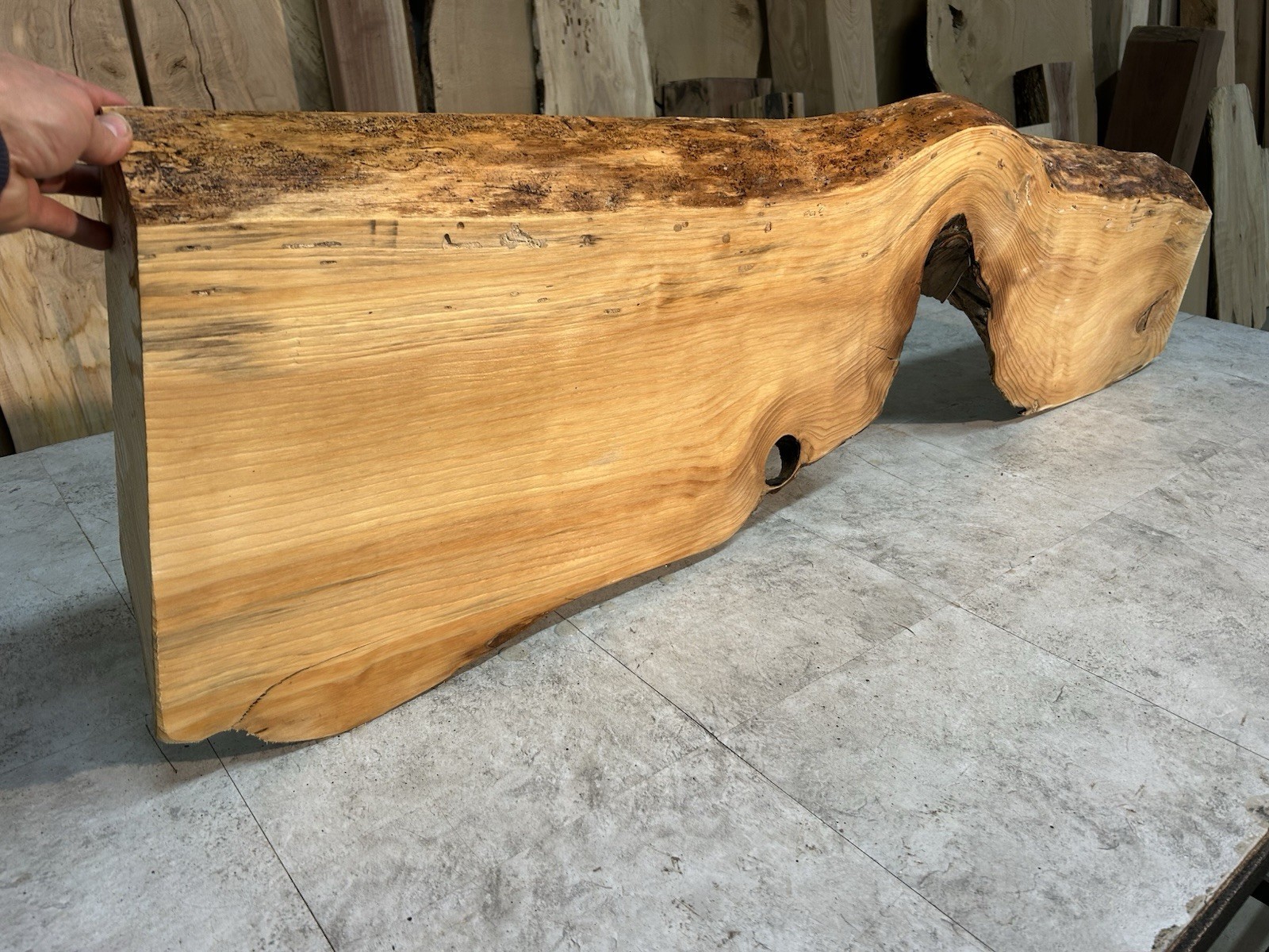 Gnarly Live Edge Pine Wood Slab/ Rustic Shelf or Mantle/Dried Wormy Pine Wood